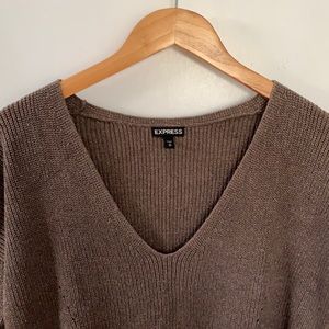 Brown sparkly Express sweater
